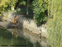 Imagine atasata: Bega - 2014.10.12 - 004.jpg